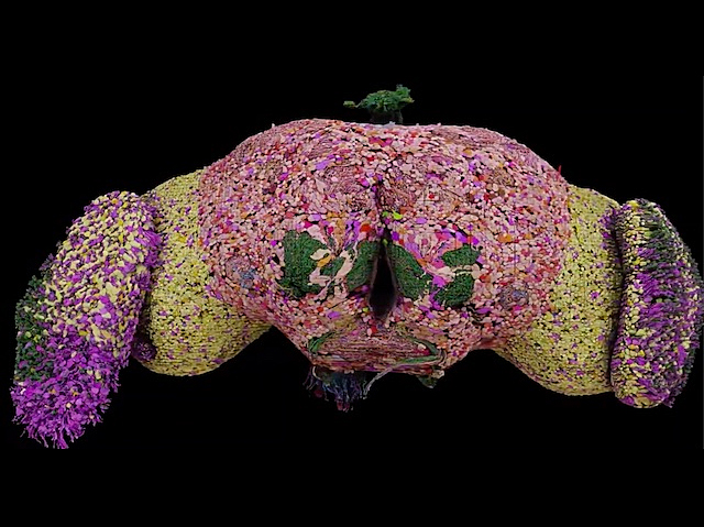 un cervell de mosca, com un cilindre horitzontal amb abultaments i ple de múltiples punts de colors groc rosa i morat en diferents parts de la seua estructura