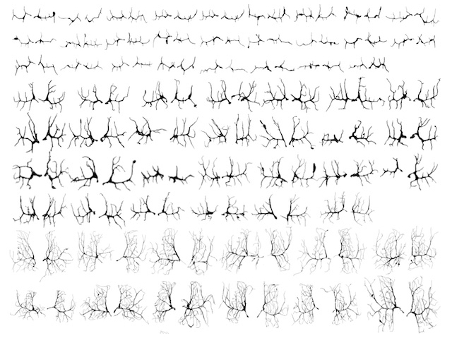Diferents parells de ramificacions diposades en 9 files amb diferents dimensions.