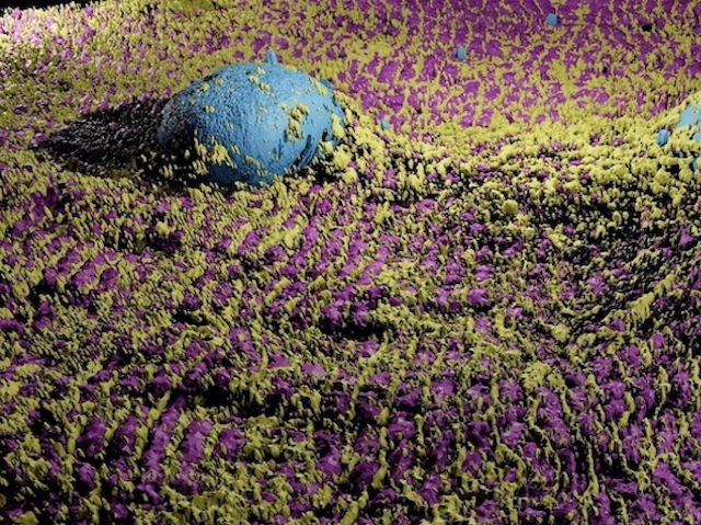 sobre una superfície de color groc i morat, una esfera blava
