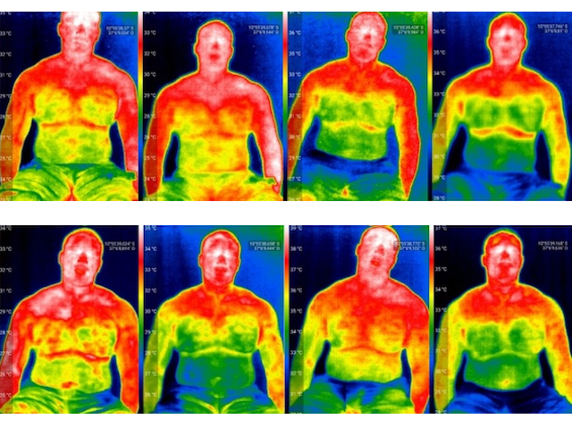 Huit imatges tèrmiques d'una persona amb diferències de color en les diferents parts del tronc que indiquen diferències de temperatura corporal