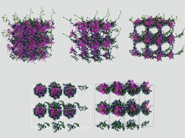 diverses estructures filamentoses, amb parts porpra, que tenen forma aproximadament esfèrica
