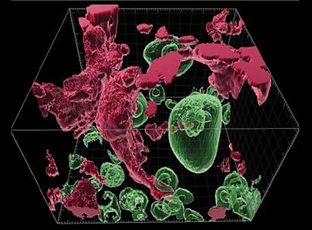 un espai cúbic on es troben alguns paquets verds, aproximadament esfèrics, i altres més irregulars de color roig